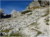 end of road on Pokljuka - Koča na Doliču